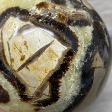 Carica l&#39;immagine nel visualizzatore di Gallery, Septarian 2.88&quot; / 73mm Sphere
