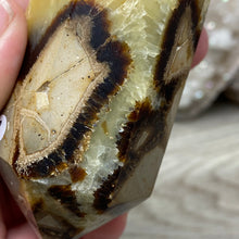 Carica l&#39;immagine nel visualizzatore di Gallery, Septarian Double Point #02 - 4.34&quot;/110mm
