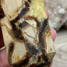 Load image into Gallery viewer, Septarian Double Point #02 - 4.34&quot;/110mm
