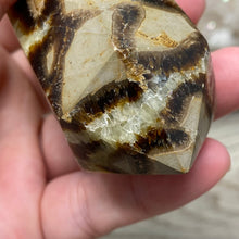 Load image into Gallery viewer, Septarian Double Point #02 - 4.34&quot;/110mm
