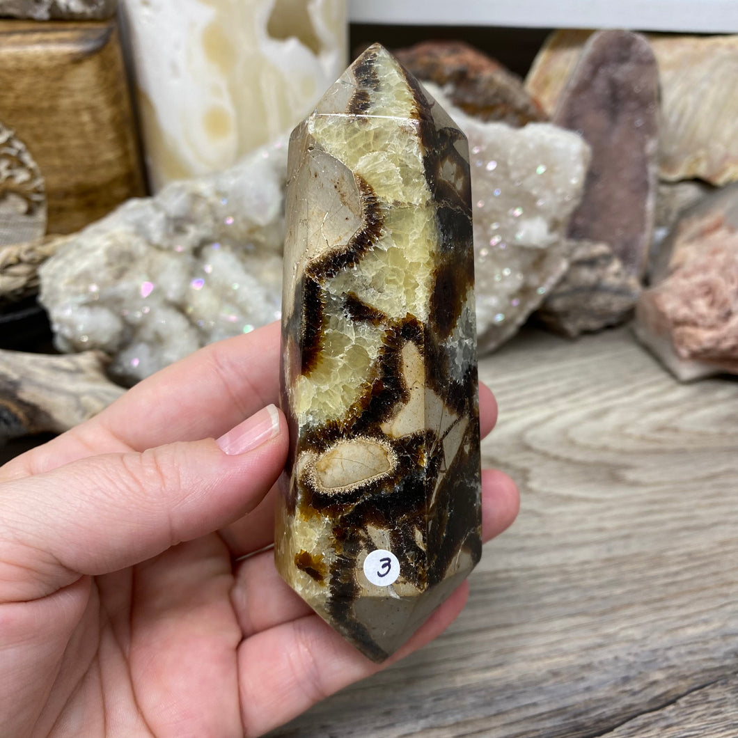 Septarian Double Point #03 - 4.73