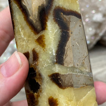 Load image into Gallery viewer, Septarian Double Point #04 - 4.88&quot;/124mm
