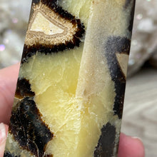 Carica l&#39;immagine nel visualizzatore di Gallery, Septarian Double Point #05 - 5.81&quot;/147mm
