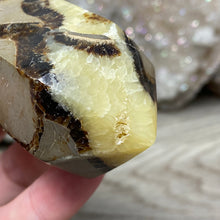 Cargar imagen en el visor de la galería, Septarian Double Point #05 - 5.81&quot;/147mm
