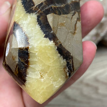 Load image into Gallery viewer, Septarian Double Point #05 - 5.81&quot;/147mm
