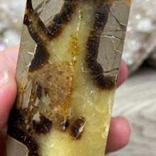 Load image into Gallery viewer, Septarian Double Point #06 - 5.37&quot;/136mm
