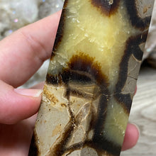 Load image into Gallery viewer, Septarian Double Point #09 - 5.37&quot;/136mm
