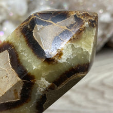 Cargar imagen en el visor de la galería, Septarian Double Point #09 - 5.37&quot;/136mm
