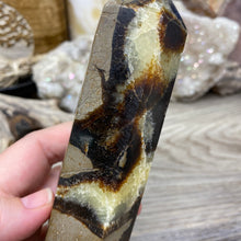Load image into Gallery viewer, Septarian Double Point #10 - 6.94&quot;/176mm
