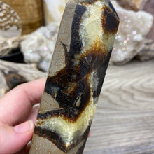 Carica l&#39;immagine nel visualizzatore di Gallery, Septarian Double Point #10 - 6.94&quot;/176mm
