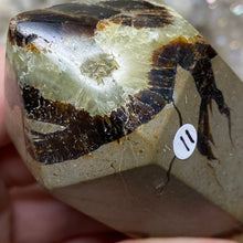 Load image into Gallery viewer, Septarian Double Point #11 - 5.50&quot;/139mm

