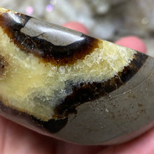 Load image into Gallery viewer, Septarian Bowl #04 - 3.33&quot; x 1.33&quot;
