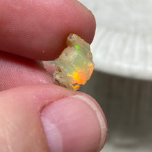 将图像加载到图库查看器中，Welo Ethiopian Opal Small Rough Set #03
