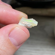 将图像加载到图库查看器中，Welo Ethiopian Opal Small Rough Set #06
