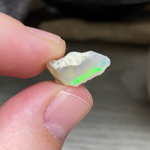 将图像加载到图库查看器中，Welo Ethiopian Opal Small Rough Set #06
