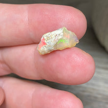 将图像加载到图库查看器中，Welo Ethiopian Opal Small Rough Set #07
