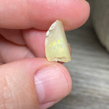 将图像加载到图库查看器中，Welo Ethiopian Opal Small Rough Set #07
