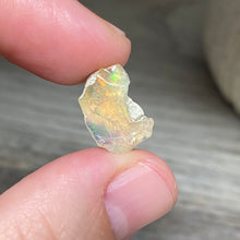 将图像加载到图库查看器中，Welo Ethiopian Opal Small Rough Set #07
