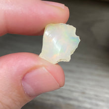 Cargar imagen en el visor de la galería, Welo Ethiopian Opal Small Rough Set #08
