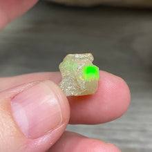 将图像加载到图库查看器中，Welo Ethiopian Opal Small Rough Set #10
