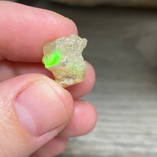 将图像加载到图库查看器中，Welo Ethiopian Opal Small Rough Set #10
