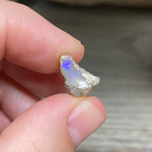 将图像加载到图库查看器中，Welo Ethiopian Opal Small Rough Set #10
