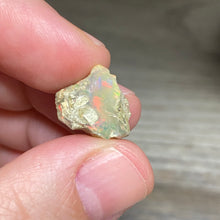 将图像加载到图库查看器中，Welo Ethiopian Opal Small Rough Set #11
