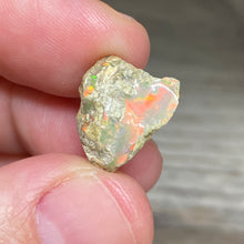 将图像加载到图库查看器中，Welo Ethiopian Opal Small Rough Set #11
