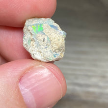 将图像加载到图库查看器中，Welo Ethiopian Opal Small Rough Set #11
