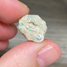 将图像加载到图库查看器中，Welo Ethiopian Opal Small Rough Set #11
