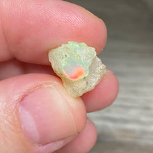 将图像加载到图库查看器中，Welo Ethiopian Opal Small Rough Set #11
