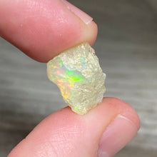 将图像加载到图库查看器中，Welo Ethiopian Opal Small Rough Set #11
