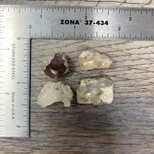 将图像加载到图库查看器中，Welo Ethiopian Opal Small Rough Set #14
