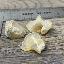 Carica l&#39;immagine nel visualizzatore di Gallery, Welo Ethiopian Opal Small Rough Set #16
