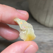 将图像加载到图库查看器中，Welo Ethiopian Opal Small Rough Set #16
