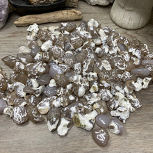 Load image into Gallery viewer, Polished Oregon Snakeskin Agate Tumbles
