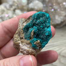 将图像加载到图库查看器中，Dioptase Cluster - Kazakhstan
