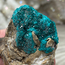 将图像加载到图库查看器中，Dioptase Cluster - Kazakhstan
