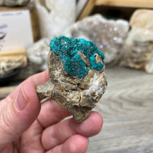 将图像加载到图库查看器中，Dioptase Cluster - Kazakhstan
