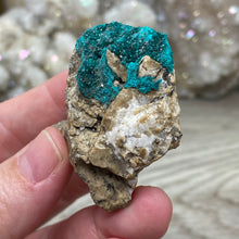 将图像加载到图库查看器中，Dioptase Cluster - Kazakhstan
