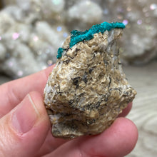 将图像加载到图库查看器中，Dioptase Cluster - Kazakhstan
