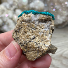 Bild in Galerie-Viewer laden, Dioptase Cluster - Kazakhstan
