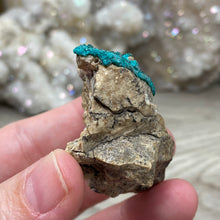 Carica l&#39;immagine nel visualizzatore di Gallery, Dioptase Cluster - Kazakhstan
