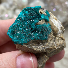 将图像加载到图库查看器中，Dioptase Cluster - Kazakhstan
