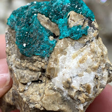 将图像加载到图库查看器中，Dioptase Cluster - Kazakhstan
