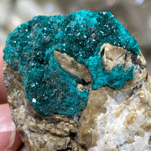 将图像加载到图库查看器中，Dioptase Cluster - Kazakhstan
