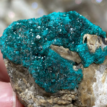 将图像加载到图库查看器中，Dioptase Cluster - Kazakhstan
