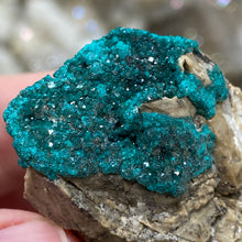 将图像加载到图库查看器中，Dioptase Cluster - Kazakhstan
