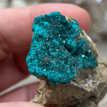 将图像加载到图库查看器中，Dioptase Cluster - Kazakhstan
