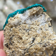 将图像加载到图库查看器中，Dioptase Cluster - Kazakhstan
